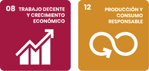 Two colored squares showing sustainable development goals: 08 Decent Work and Economic Growth with a rising bar graph, and 12 Responsible Consumption and Production with a circular arrow symbol.