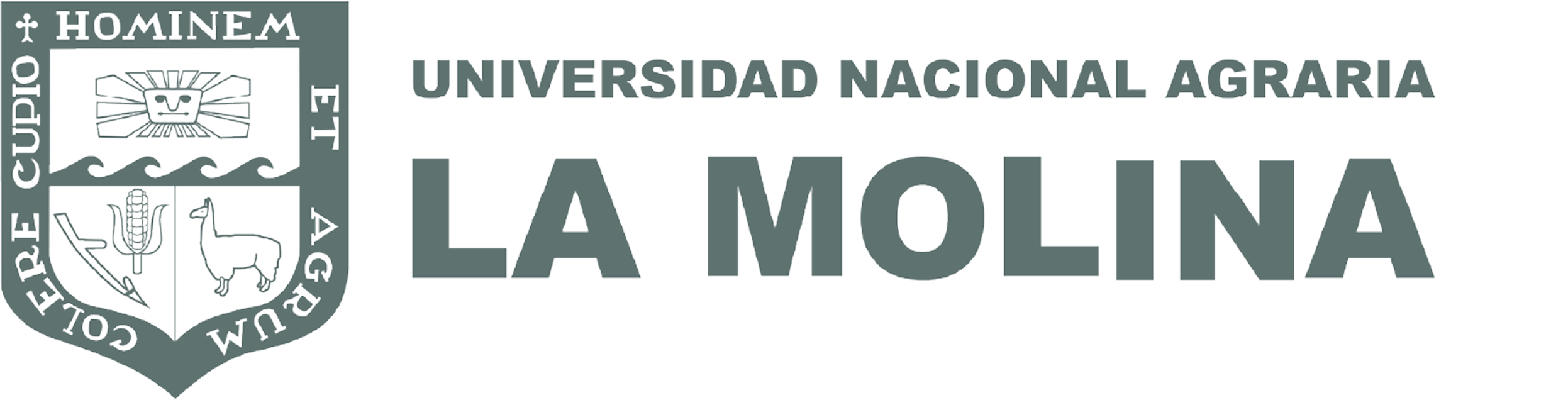 Automatización de procesos